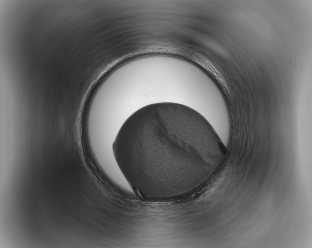 X0000093400436200711091344