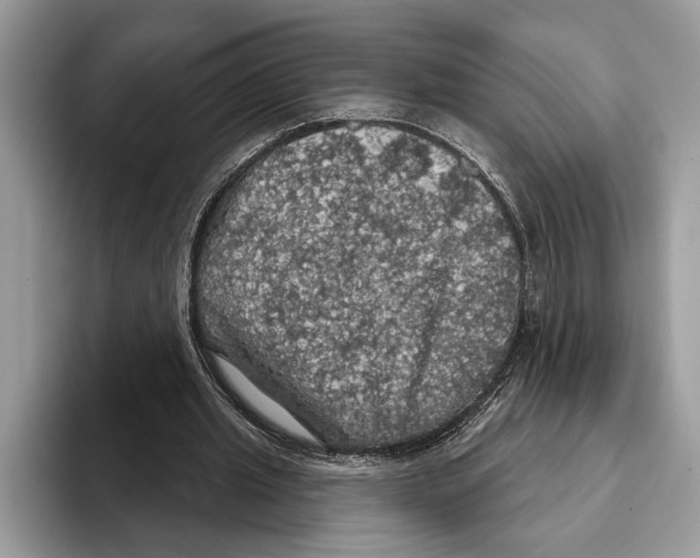 X0000093400437200711091344