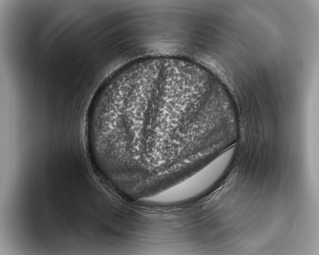 X0000093400439200711091344