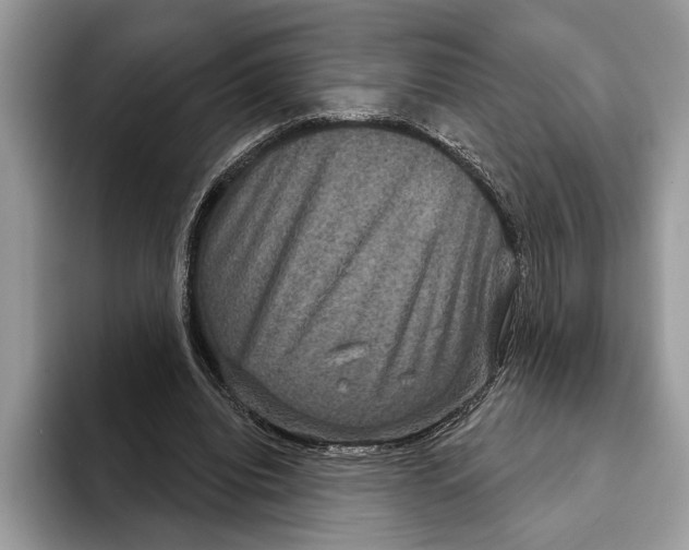 X0000093400440200711091344