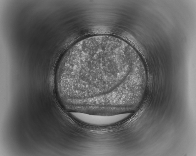 X0000093400441200711091344