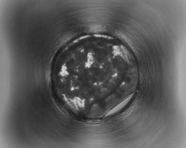 X0000093400443200711091344