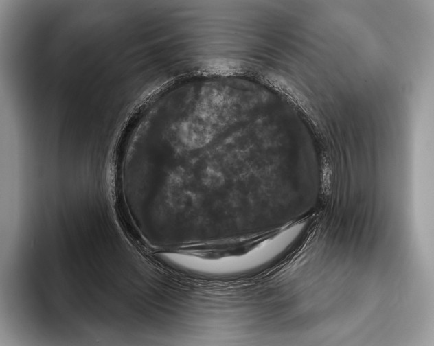 X0000093400444200711091344