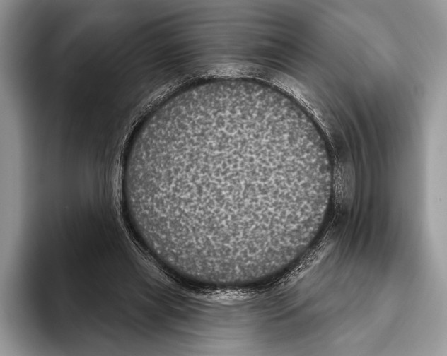 X0000093400445200711091344