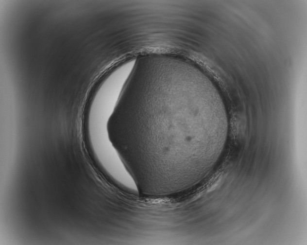 X0000093400446200711091344