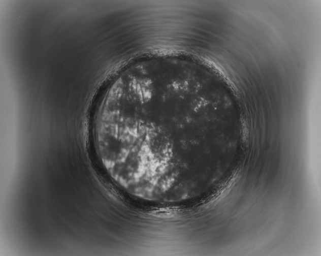 X0000093400447200711091344