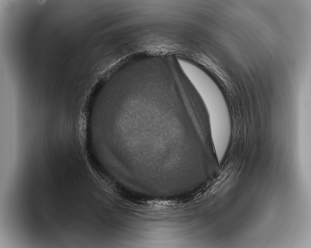 X0000093400448200711091344