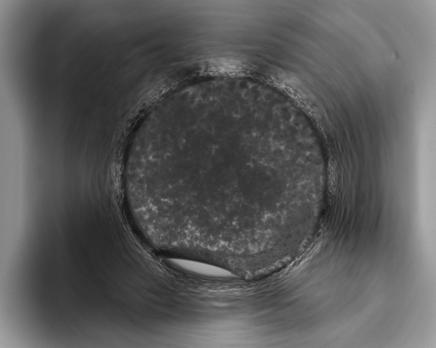 X0000093400449200711091344