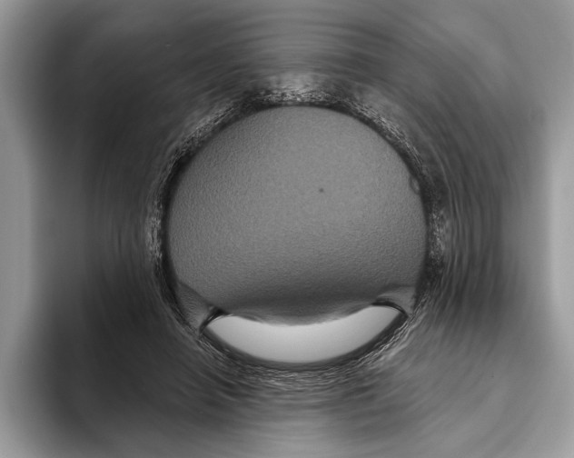 X0000093400450200711091344