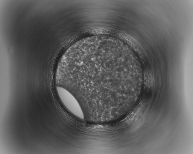 X0000093400453200711091344