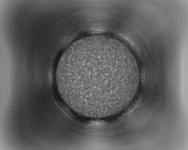 X0000093400455200711091344