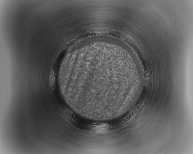 X0000093400456200711091344