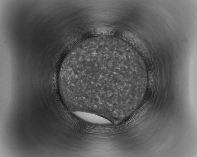 X0000093400457200711091344