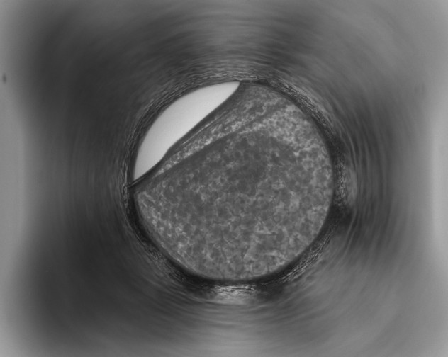 X0000093400461200711091344