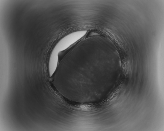 X0000093400462200711091344