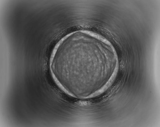 X0000093400464200711091344