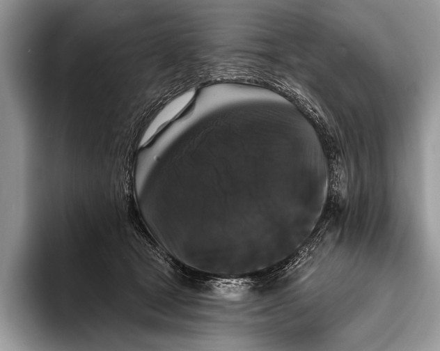 X0000093400465200711091344