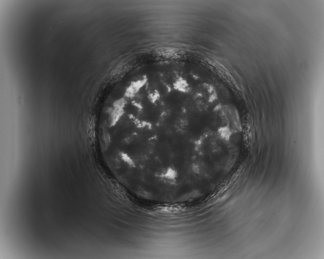 X0000093400466200711091344