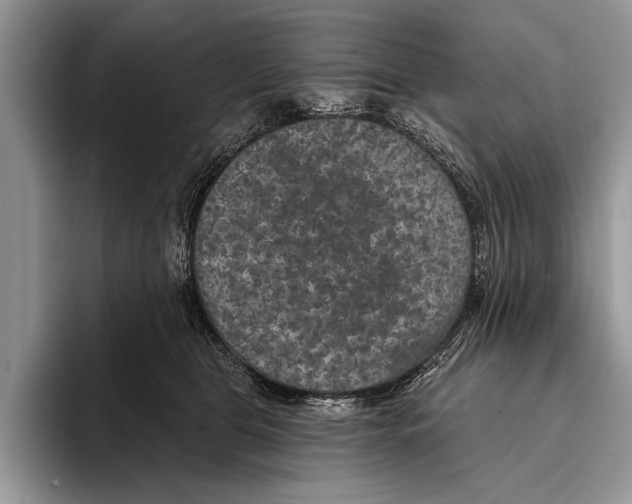 X0000093400469200711091344