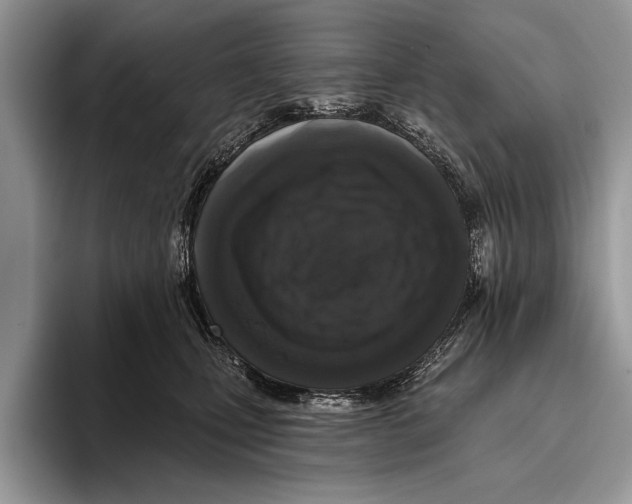 X0000093400471200711091344