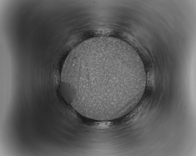 X0000093400474200711091344