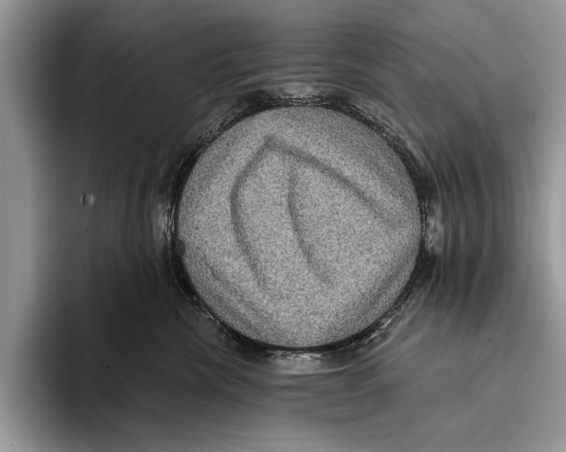 X0000093400476200711091344