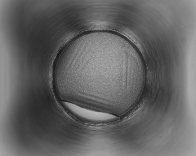 X0000093400485200711091344