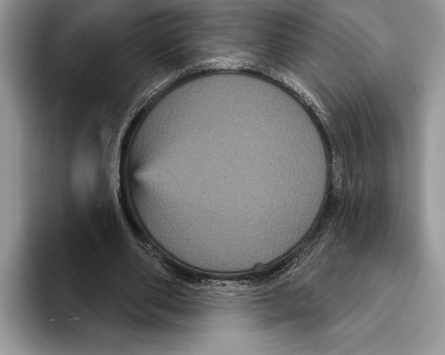 X0000093400486200711091344