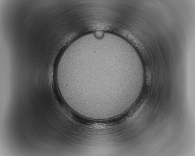 X0000093400490200711091343