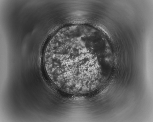 X0000093400491200711091343