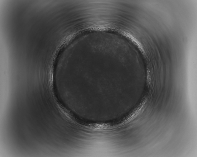 X0000093400493200711091343