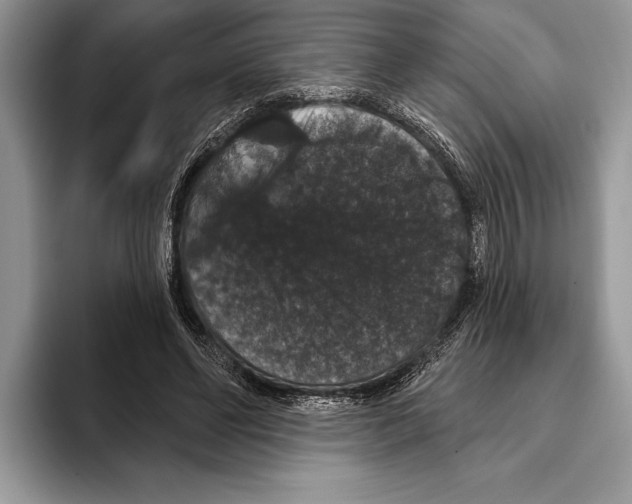 X0000093400494200711091343