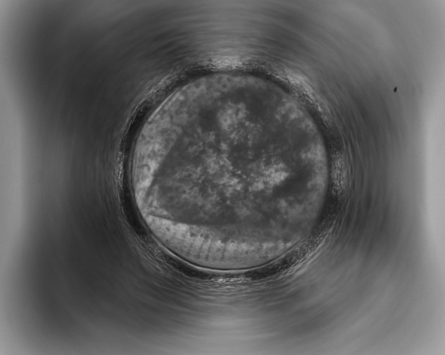 X0000093400495200711091343