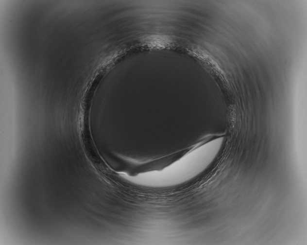 X0000093400496200711091343