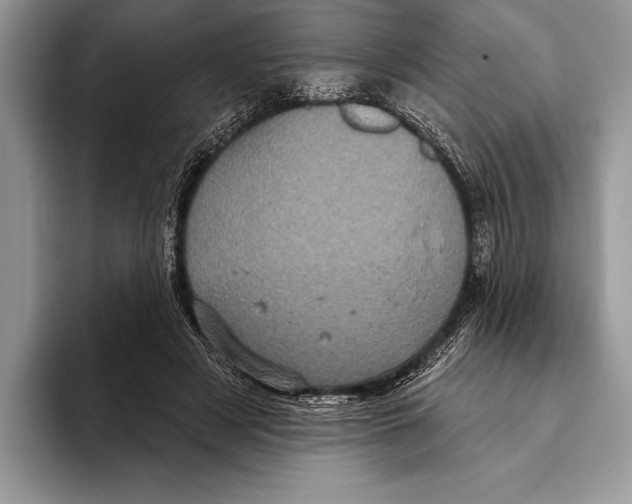 X0000093400497200711091343