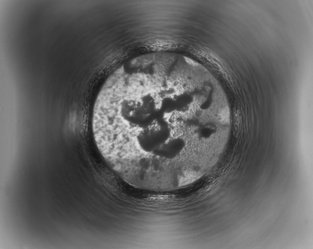 X0000093400499200711091343