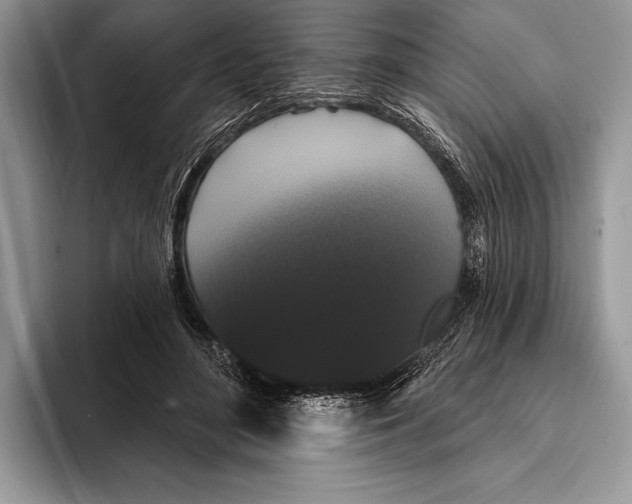 X0000093400500200711091343