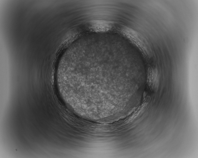 X0000093400501200711091343