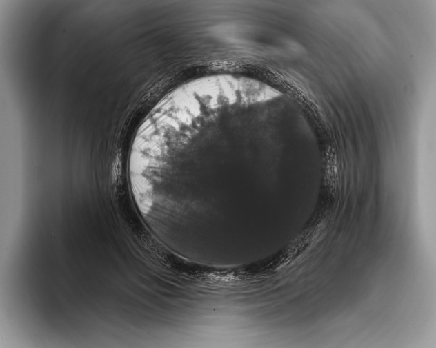 X0000093400502200711091343