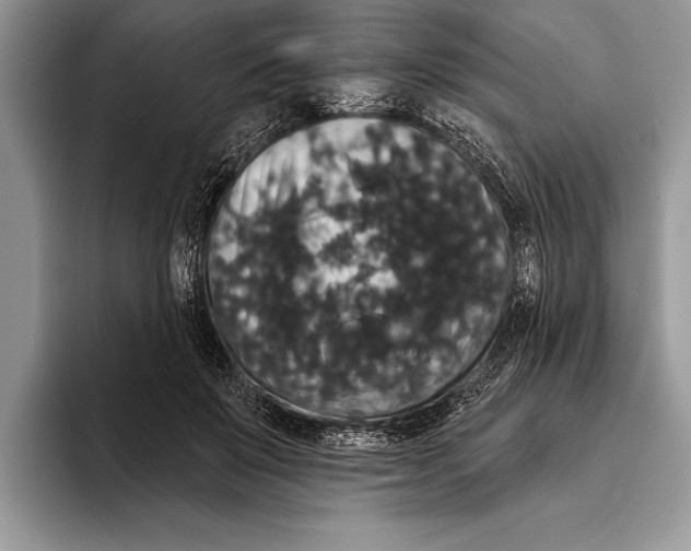 X0000093400503200711091343