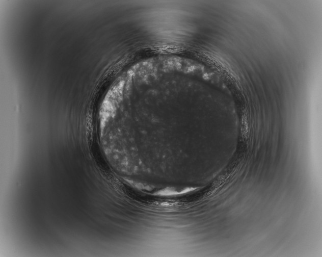 X0000093400506200711091343