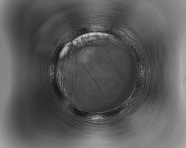 X0000093400507200711091343