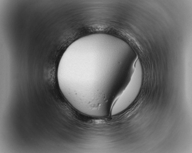 X0000093400509200711091343