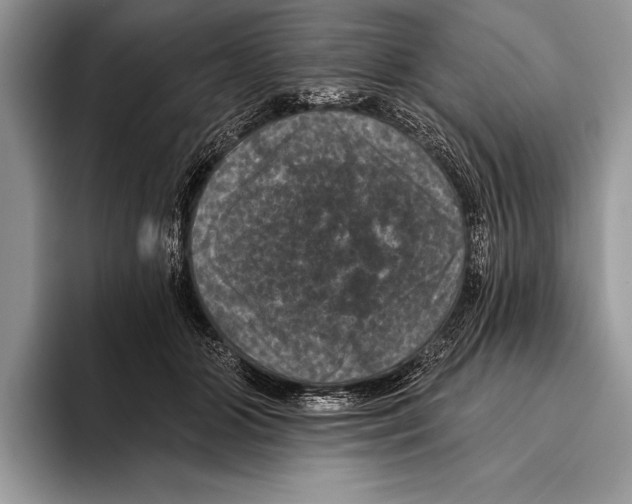 X0000093400510200711091343