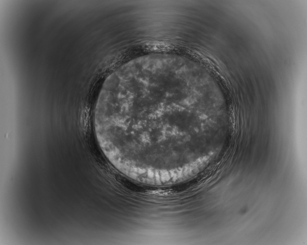 X0000093400511200711091343