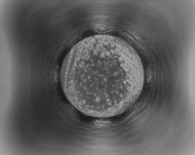 X0000093400515200711091343