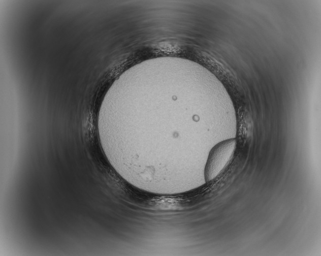 X0000093400518200711091343