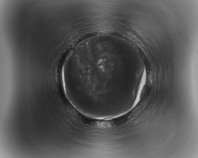 X0000093400520200711091343