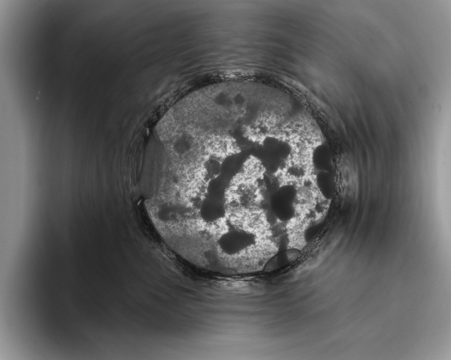 X0000093400523200711091343