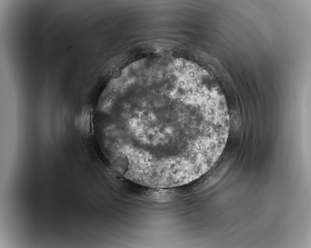 X0000093400527200711091343